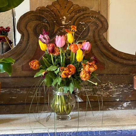 Bed and Breakfast Casale San Giorgio Luco Mugello Esterno foto