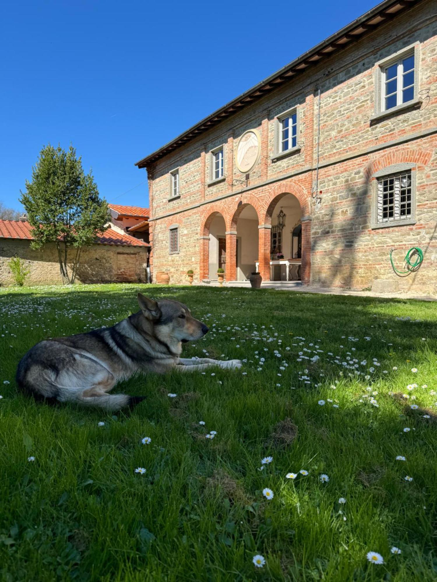 Bed and Breakfast Casale San Giorgio Luco Mugello Esterno foto